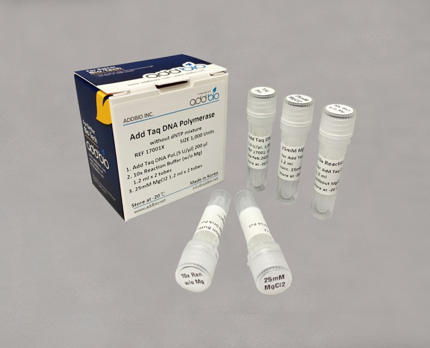 Add Taq DNA Polymerase