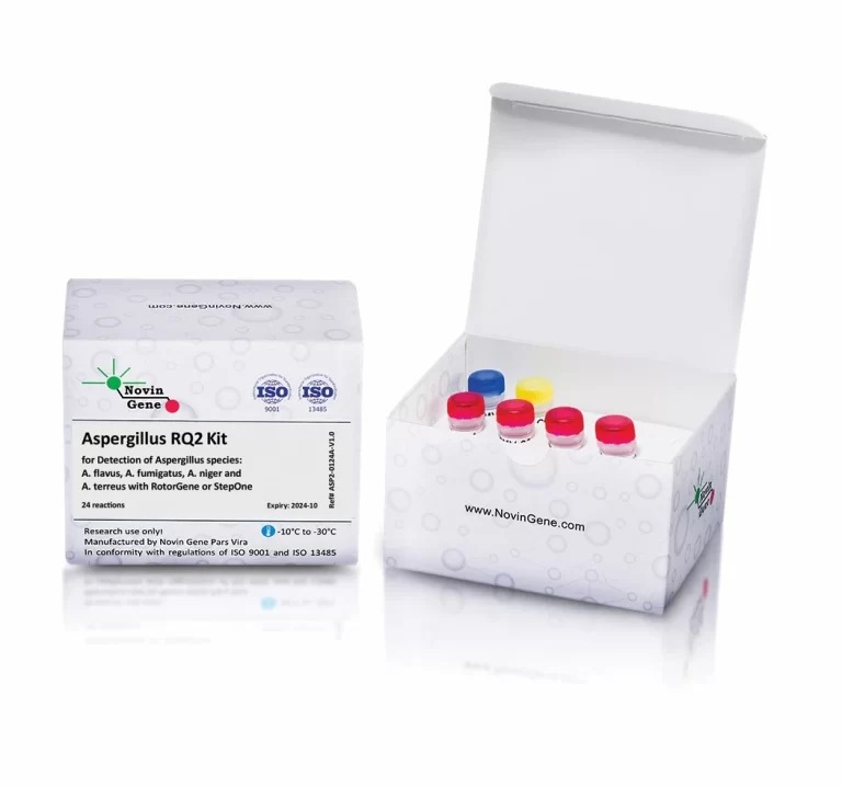 Aspergillus RQ2 Detection Kit