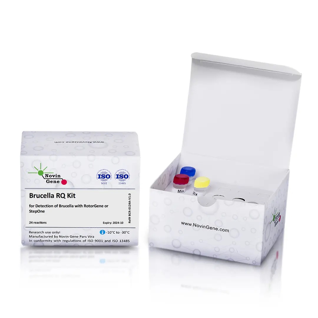 Brucella Detection Kit