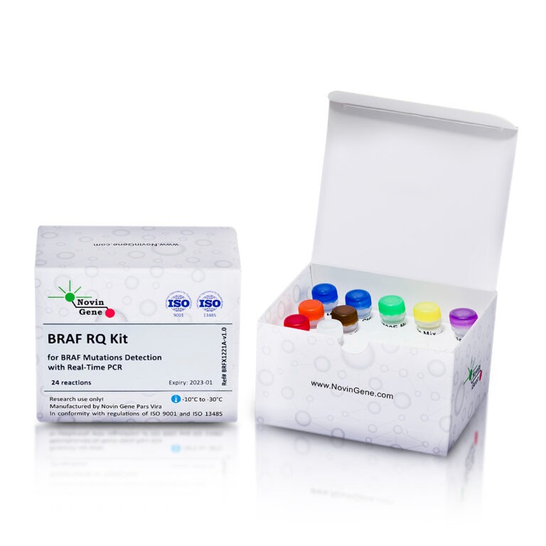 BRAF Mutations Detection Kit