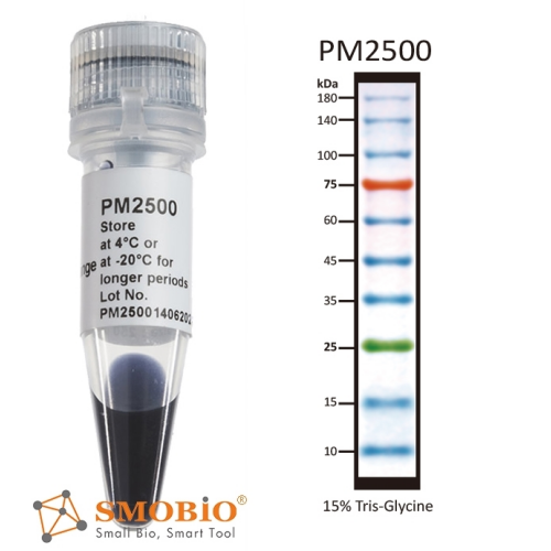 protein ladder pm2500