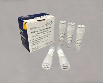 Add Taq DNA Polymerase