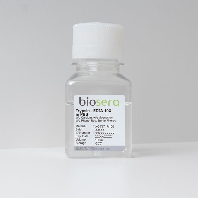 Trypsin – EDTA 10X