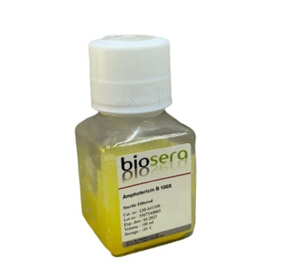 Amphotericin B