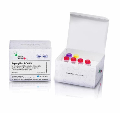 Aspergillus RQ4 Detection Kit