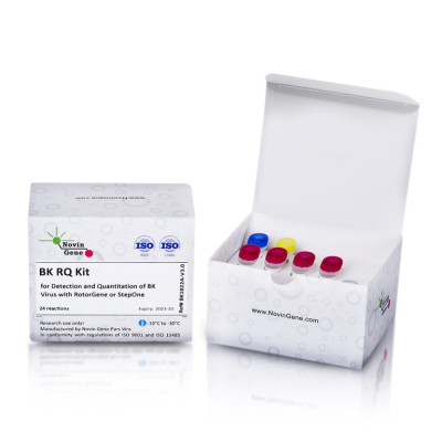 BK Virus Detection and Quantitation Kit