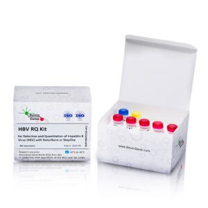 HBV Detection and Quantitation Kit