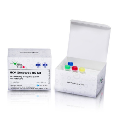 HCV Genotyping Kit (RG)