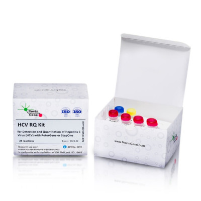 HCV Detection and Quantitation Kit