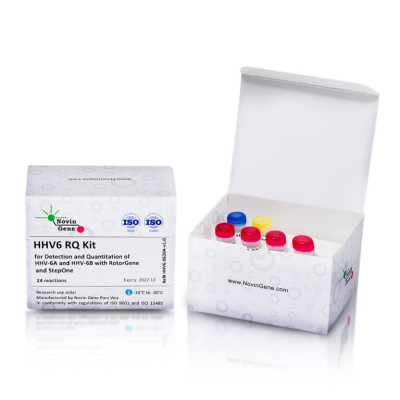 HHV6 Detection and Quantitation Kit