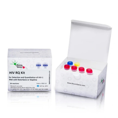 HIV-1 Detection and Quantitation Kit