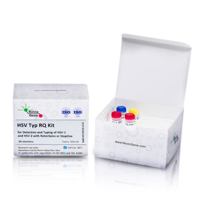 HSV 1 and 2 Detection and Typing Kit