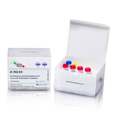 JC Virus Detection and Quantitation Kit