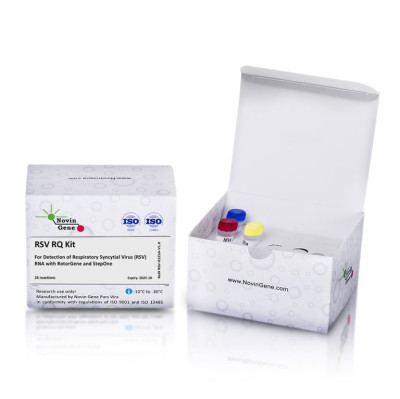 RSV Detection Kit