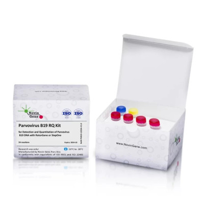 Parvovirus B19 Detection and Quantitation Kit