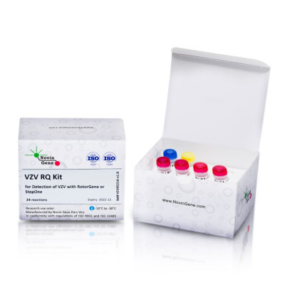 VZV Detection and Quantitation Kit