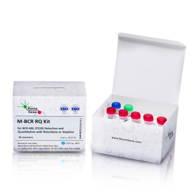 BCR-ABL (p210) Detection and Quantitation Kit