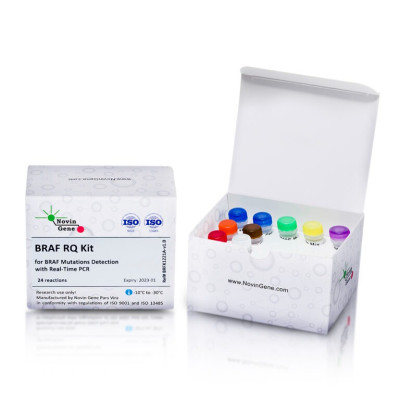 BRAF Mutations Detection Kit