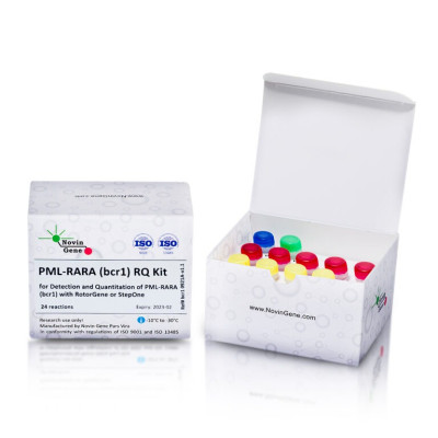 PML-RARA (bcr1) Detection and Quantitation Kit