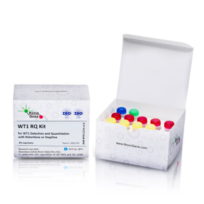 WT1 Detection and Quantitation Kit