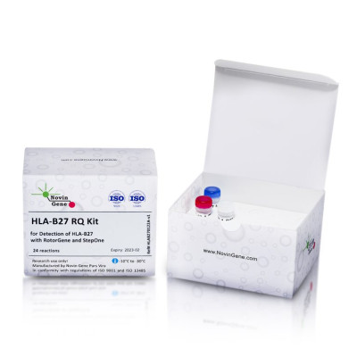 HLA-B27 Detection Kit