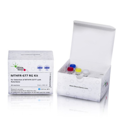 MTHFR C677T Mutation Detection Kit (RG)