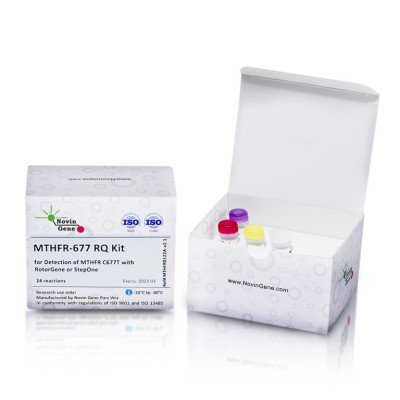 MTHFR C677T Mutation Detection Kit (RQ)