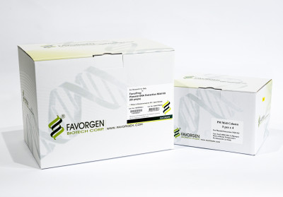 Plasmid DNA extraction mini kit