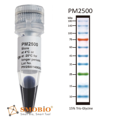 protein ladder pm2500