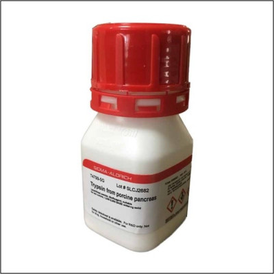 Trypsin